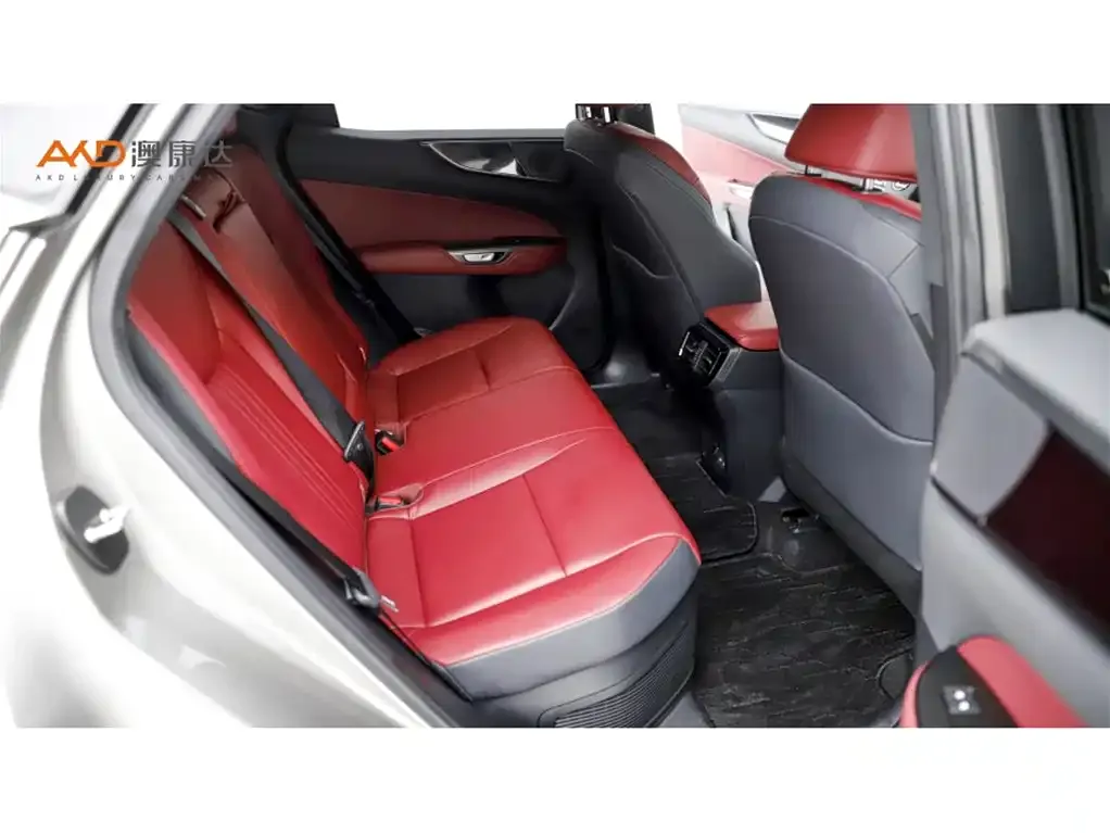 Lexus NX New Energy 2024 из CN, фото 2