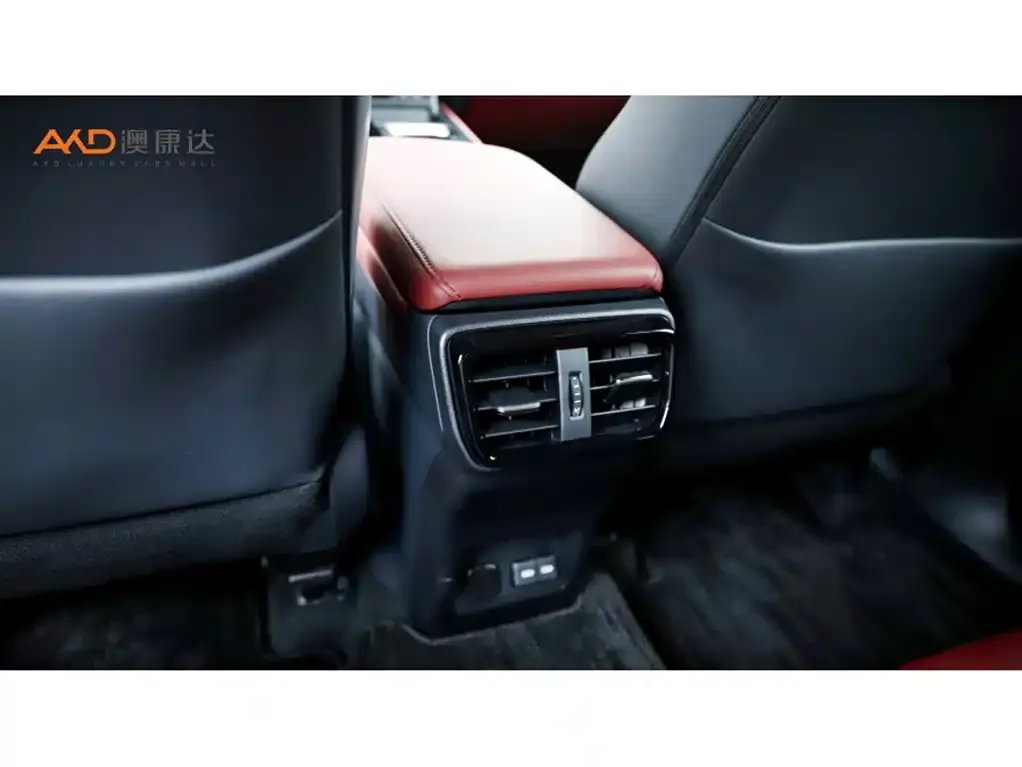 Lexus NX New Energy 2024 из CN, фото 4