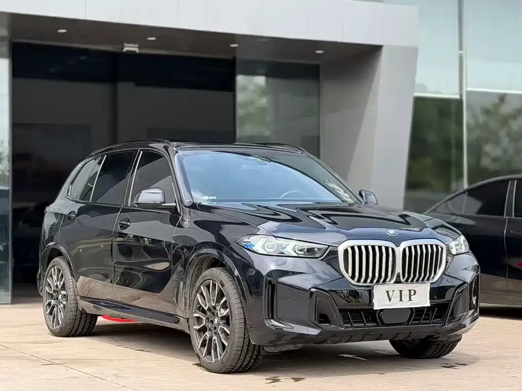 BMW X5 — фото 9