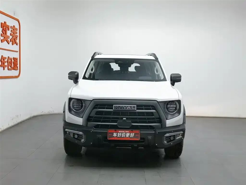 Haval Big Dog 2024 из CN, фото 4