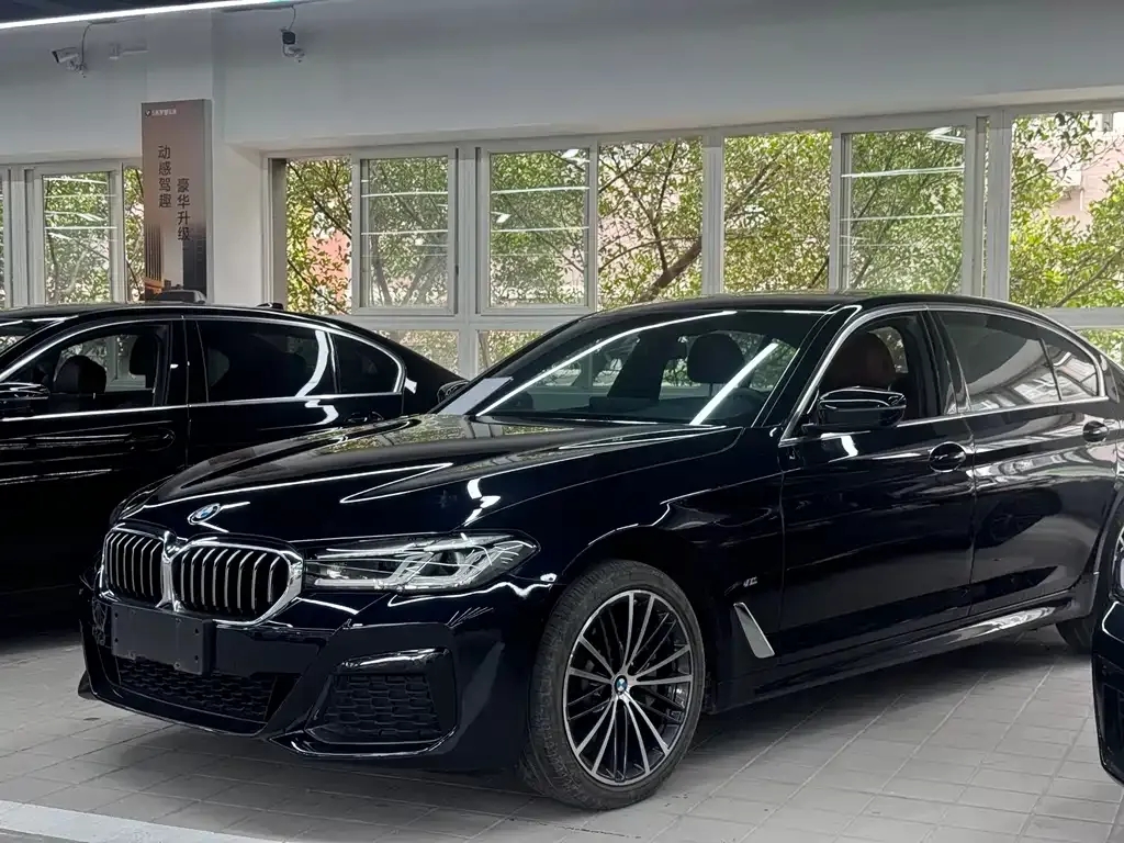 BMW 5 Series 2021 из CN, фото 1