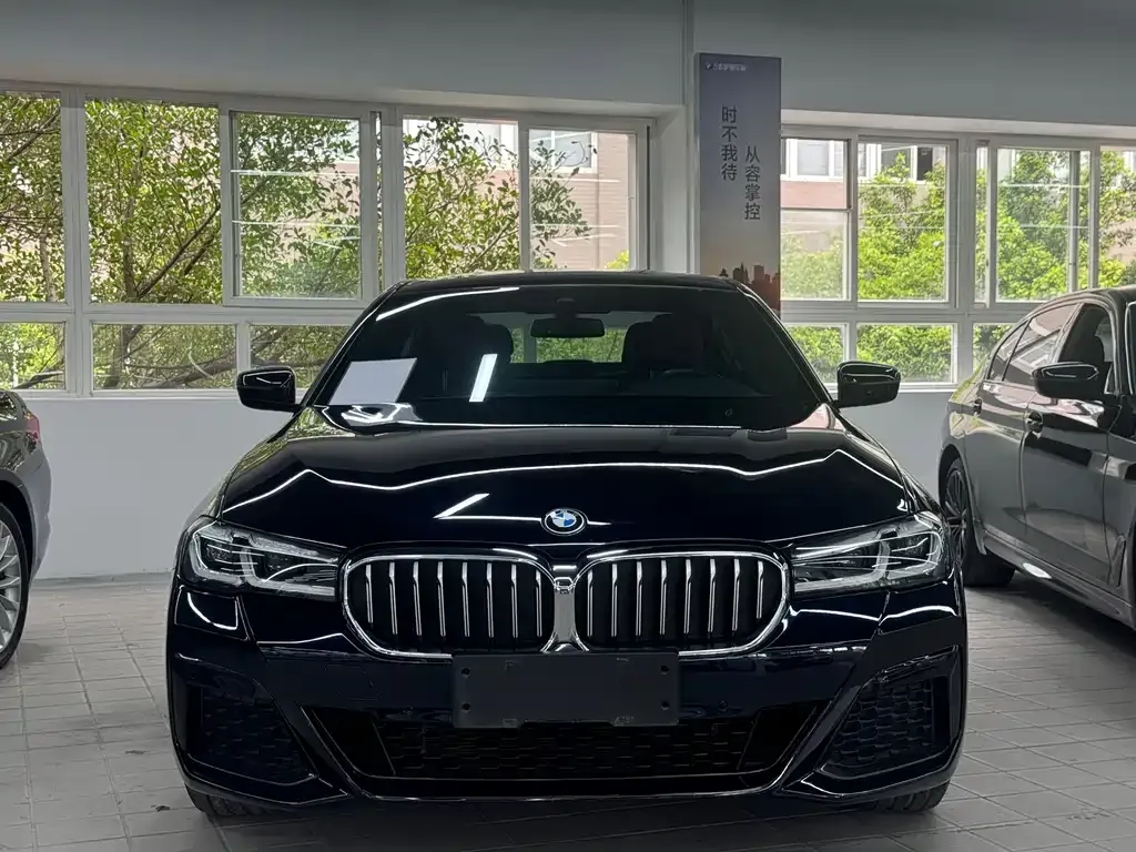 BMW 5 Series 2021 из CN, фото 9