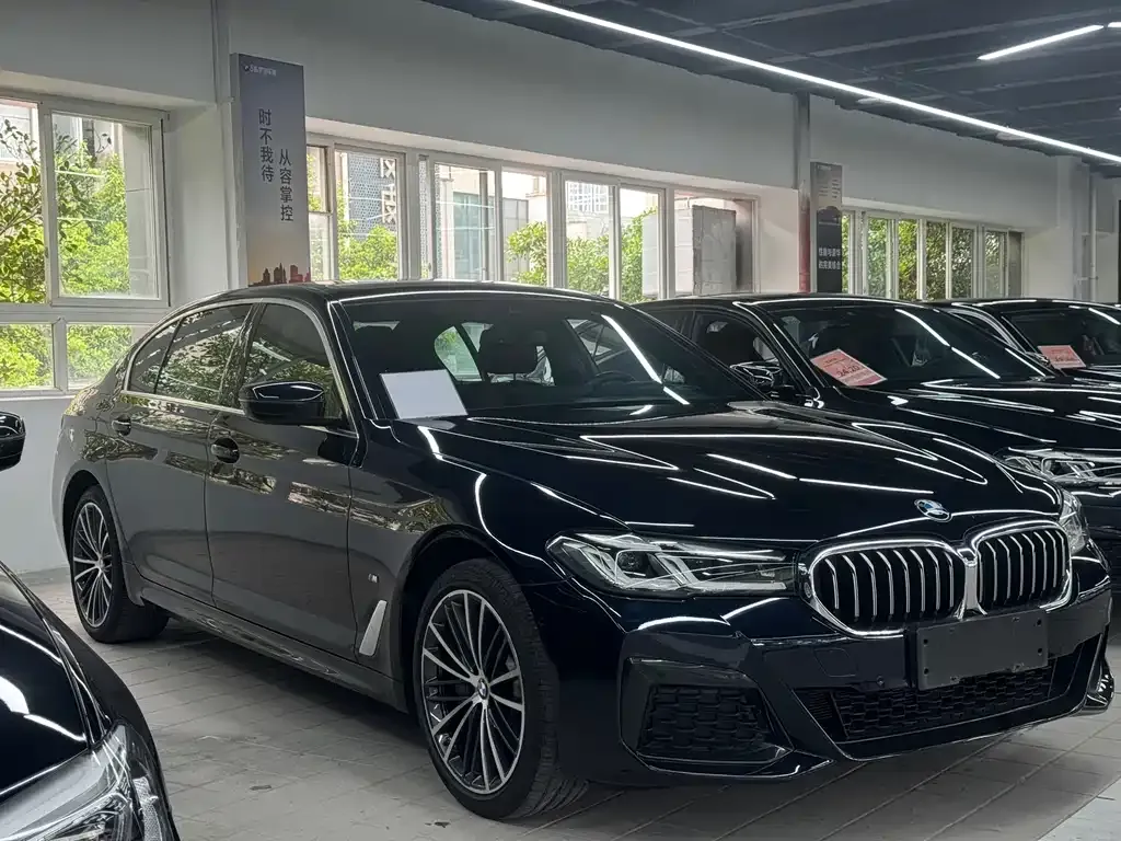 BMW 5 Series 2021 из CN, фото 4