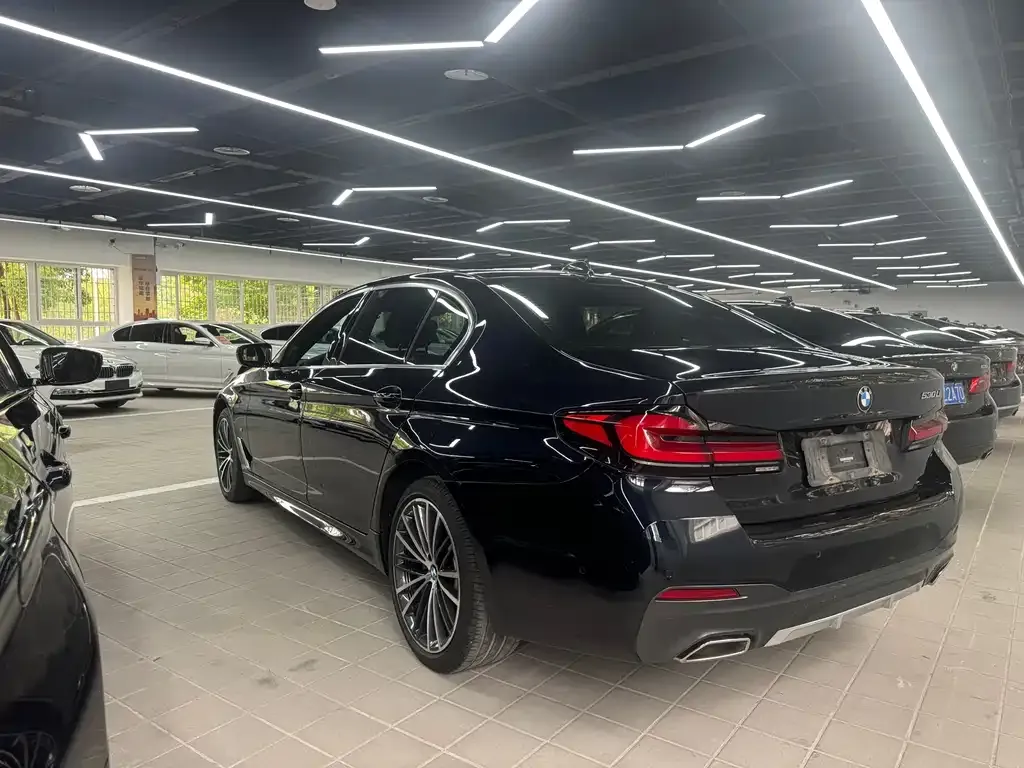 BMW 5 Series 2021 из CN, фото 2