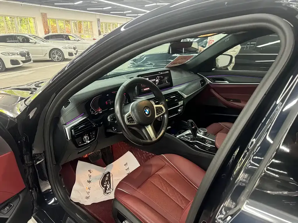 BMW 5 Series 2021 из CN, фото 6