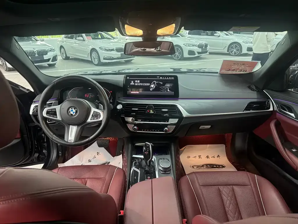 BMW 5 Series 2021 из CN, фото 7