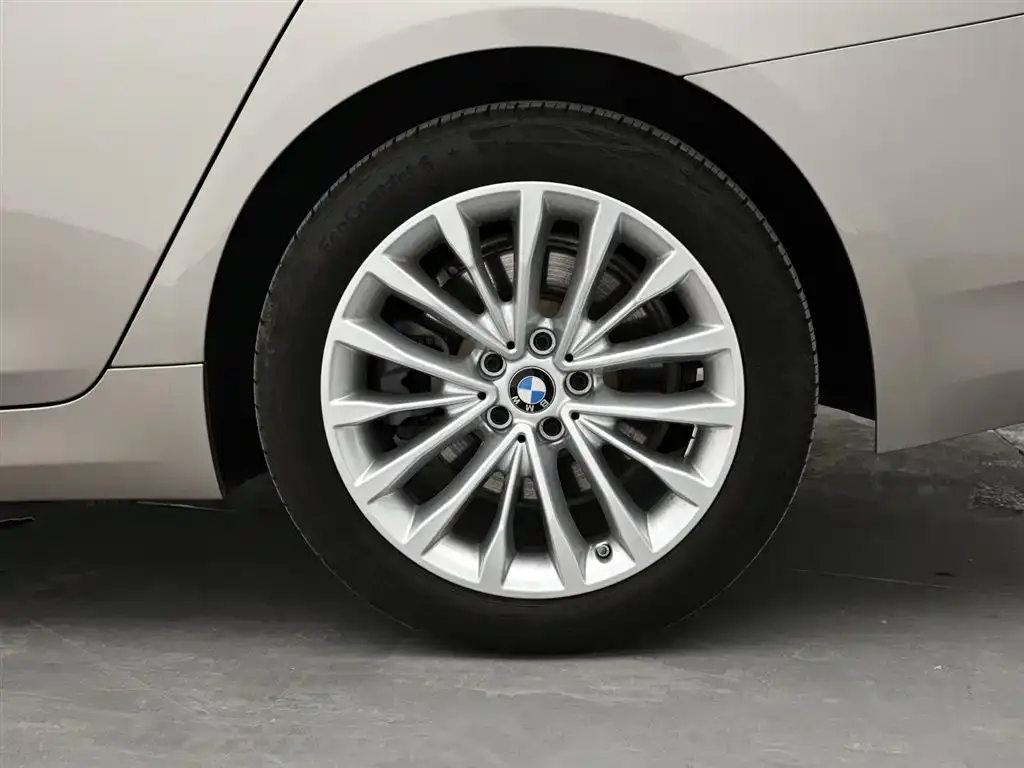 BMW 5 Series New Energy 2021 из CN, фото 2