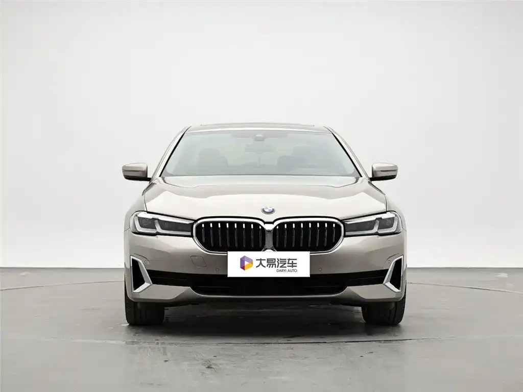 BMW 5 Series New Energy 2021 из CN, фото 7