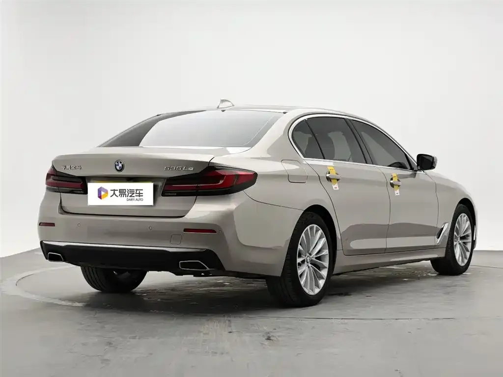 BMW 5 Series New Energy 2021 из CN, фото 6