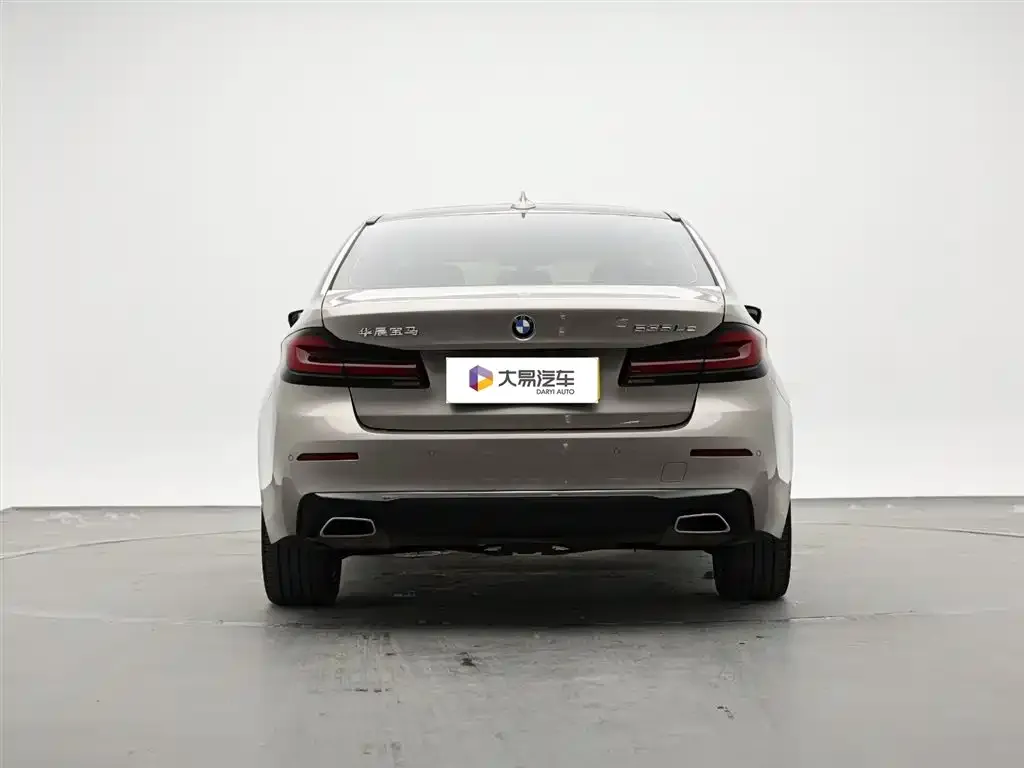 BMW 5 Series New Energy 2021 из CN, фото 8