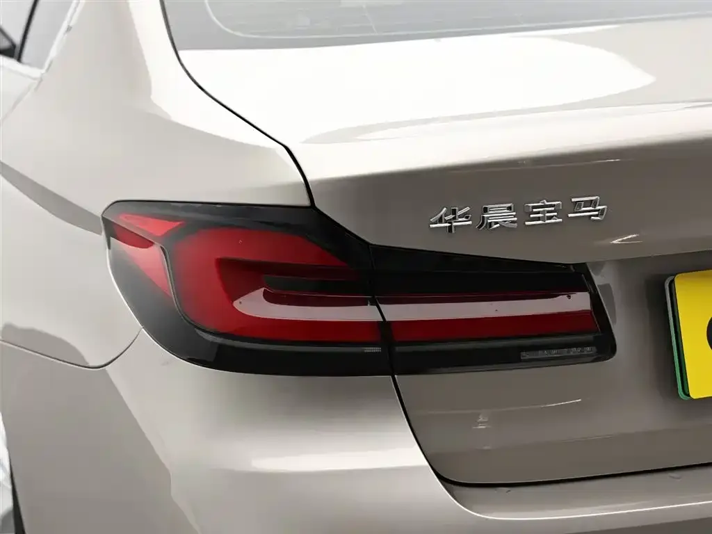 BMW 5 Series New Energy 2021 из CN, фото 9
