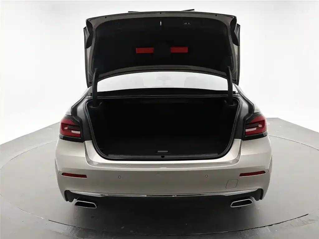BMW 5 Series New Energy 2021 из CN, фото 4