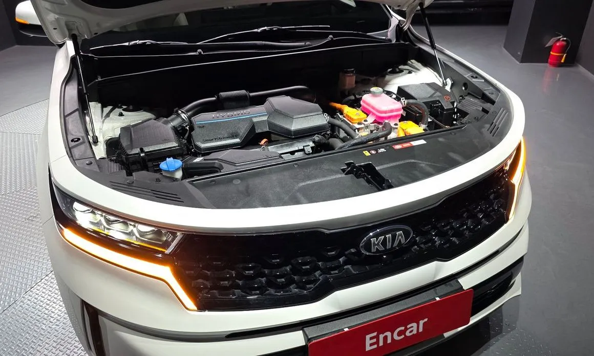 Kia Sorento — фото 9