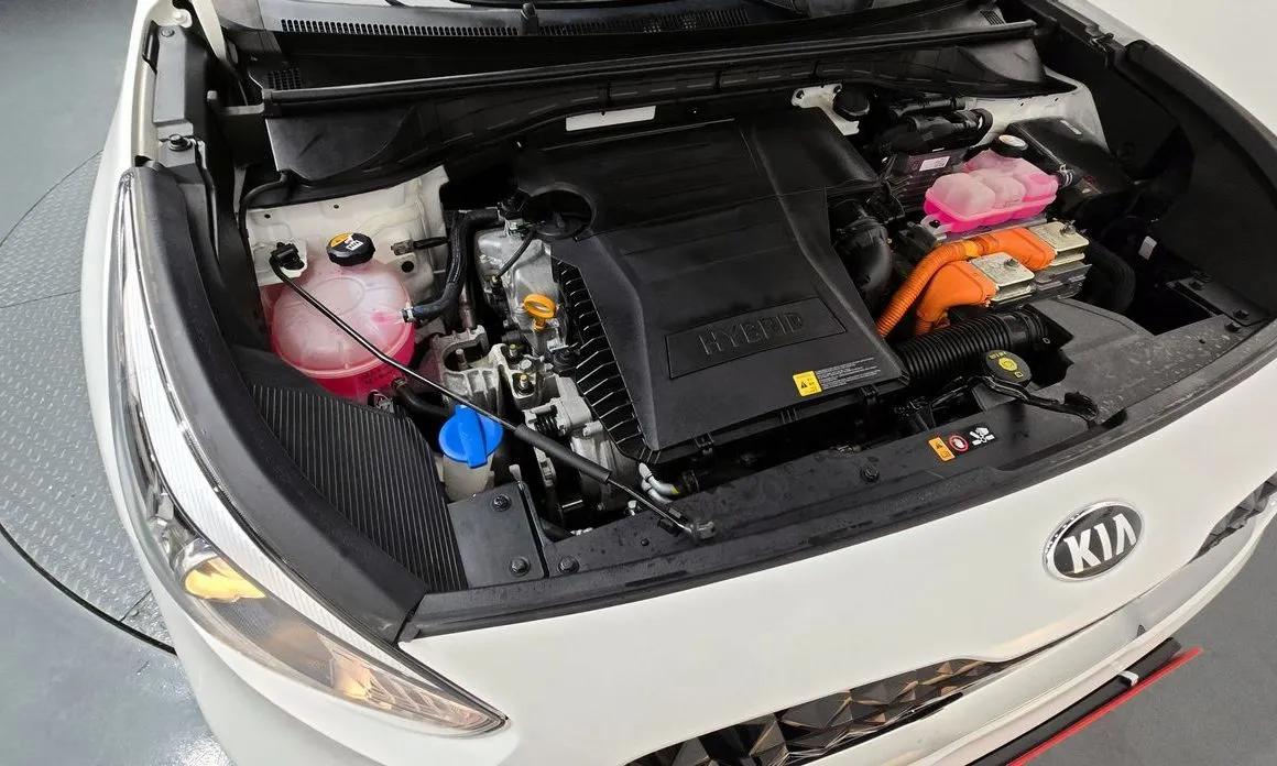 Kia Niro 2021 из KR, фото 9