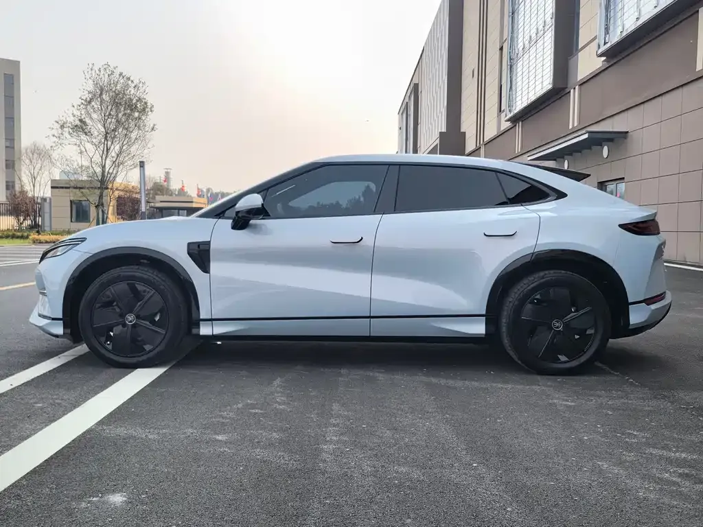 BYD L EV 2024 из CN, фото 3
