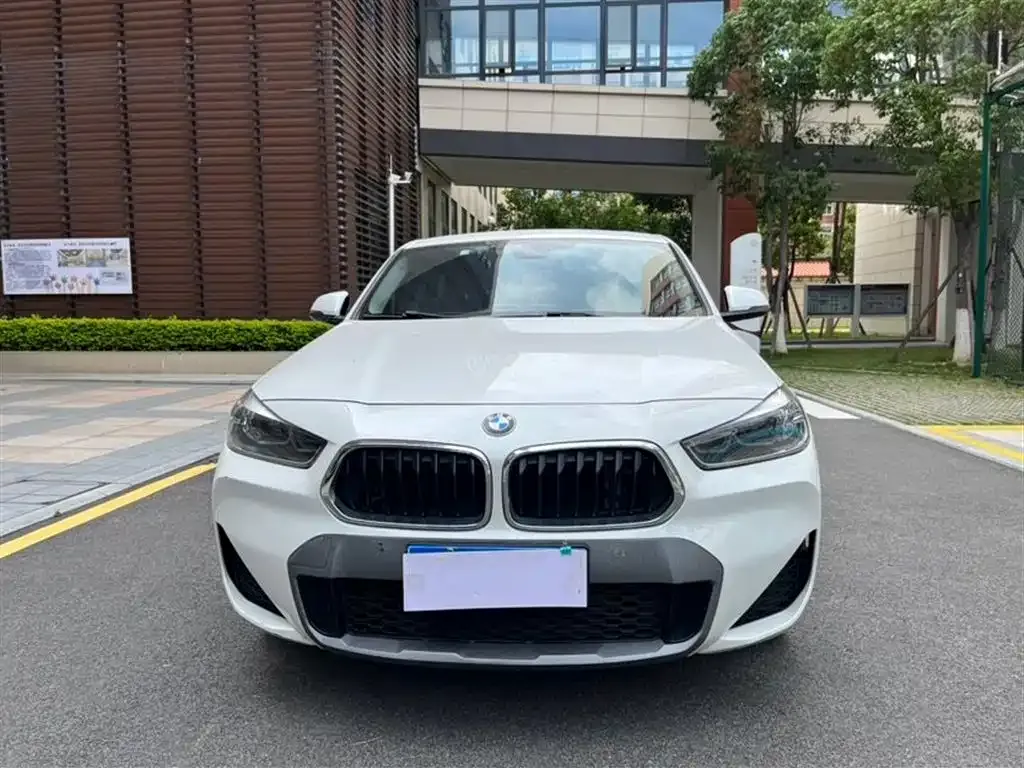 BMW X2 2021 из CN, фото 6