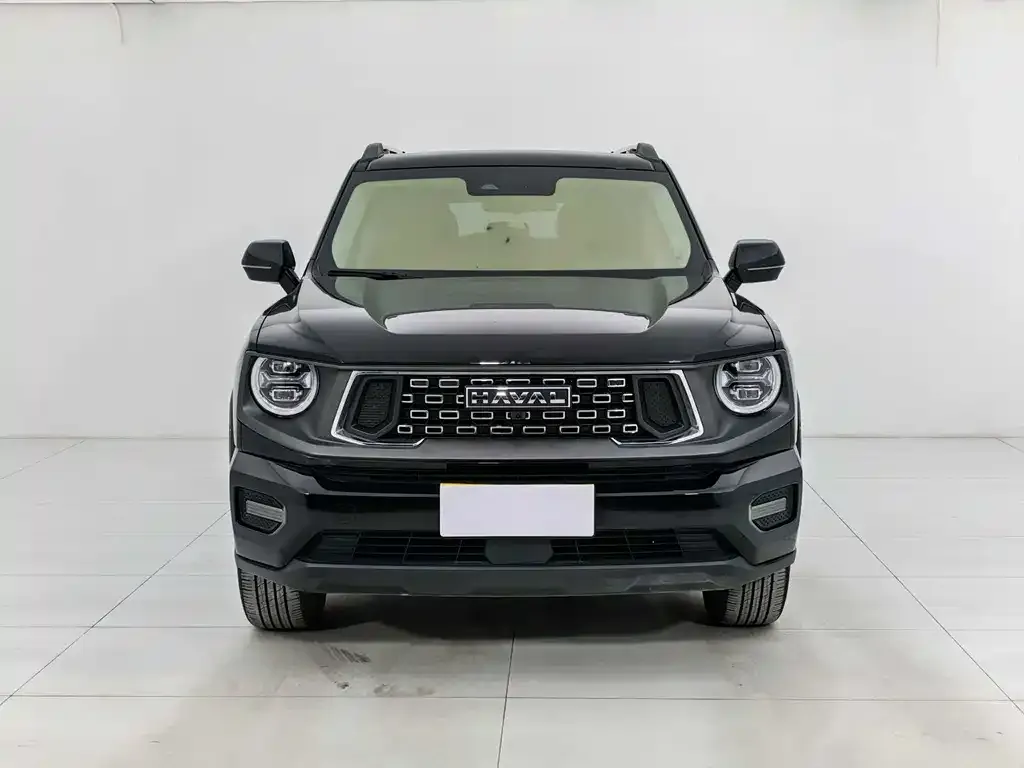 Haval H7 (Big Dog Plus) — фото 9