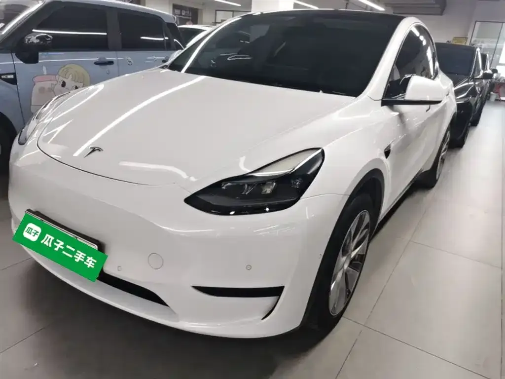 Tesla Model Y 2022 из CN, фото 1