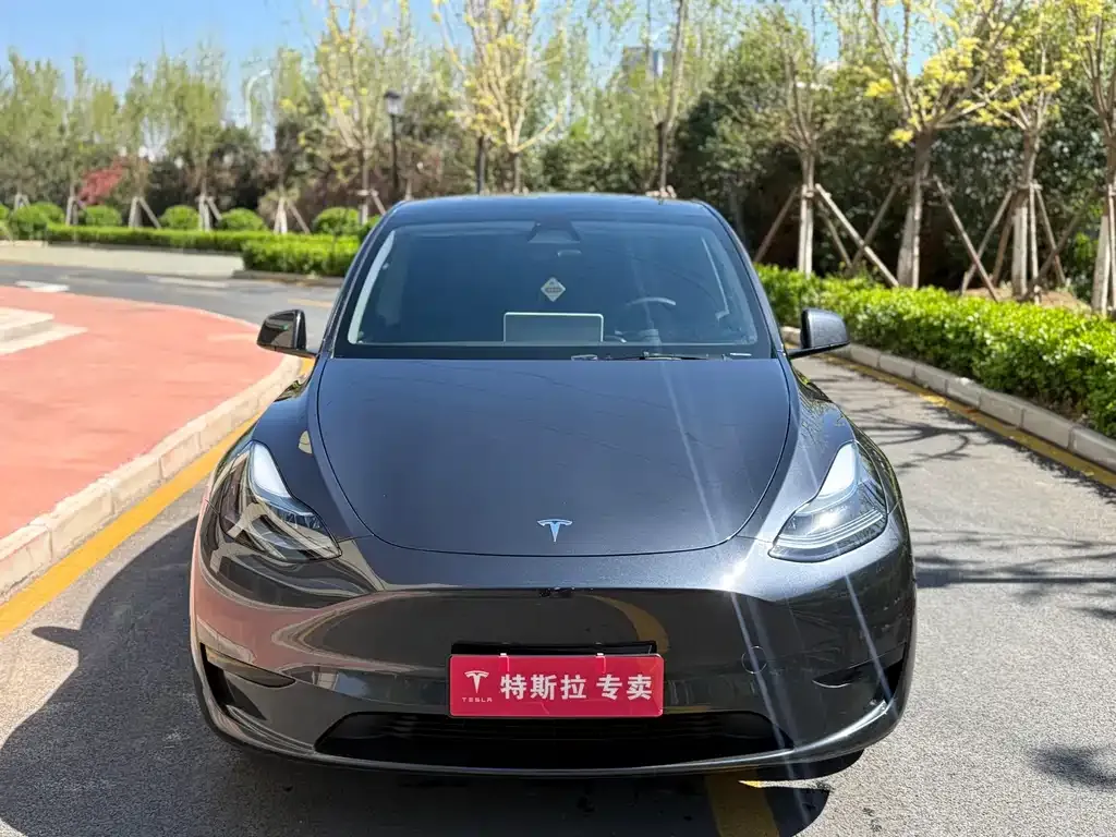 Tesla Model Y — фото 2