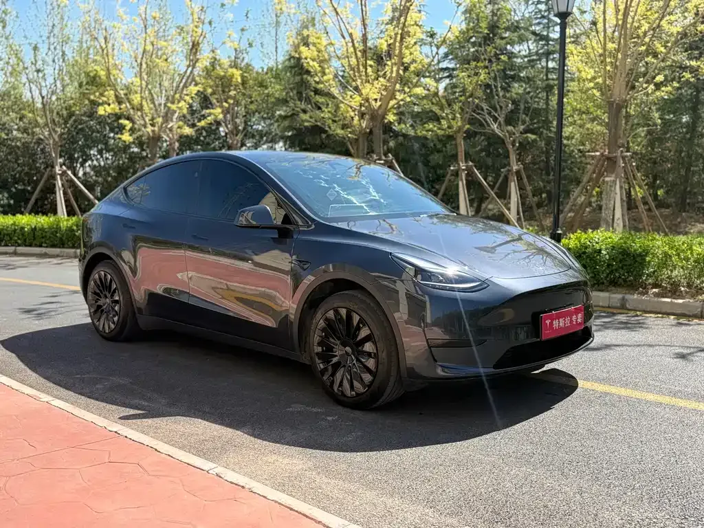 Tesla Model Y — фото 7