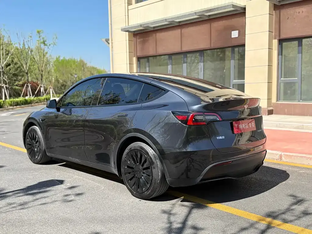 Tesla Model Y — фото 9