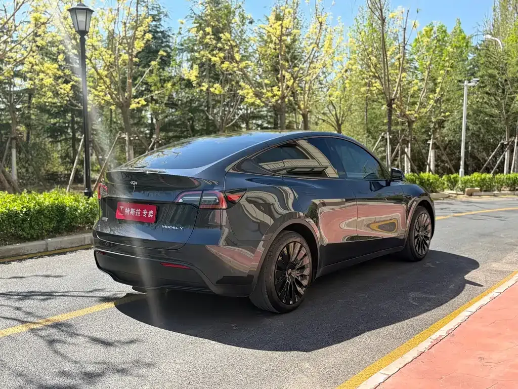 Tesla Model Y — фото 8