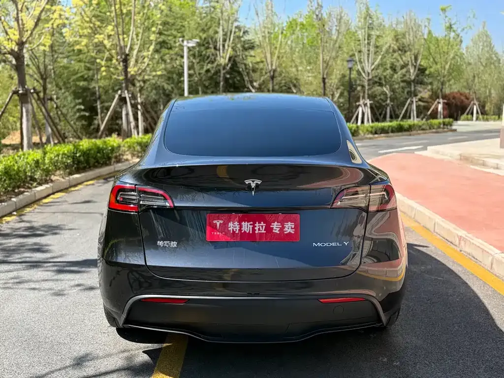 Tesla Model Y — фото 4