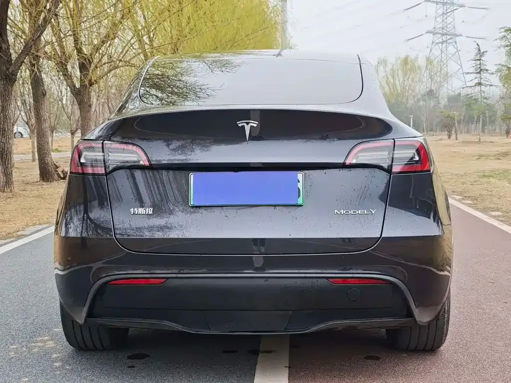 Tesla Model Y — фото 10