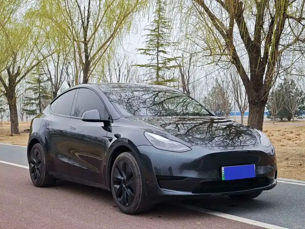 Tesla Model Y — фото 9