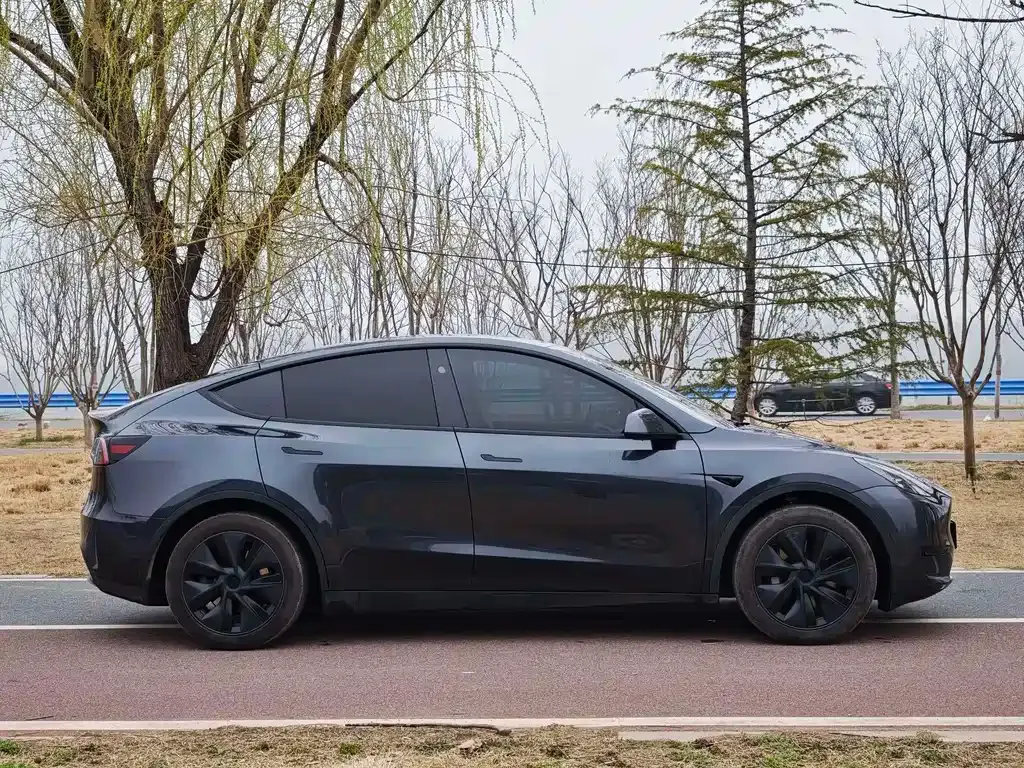 Tesla Model Y — фото 8