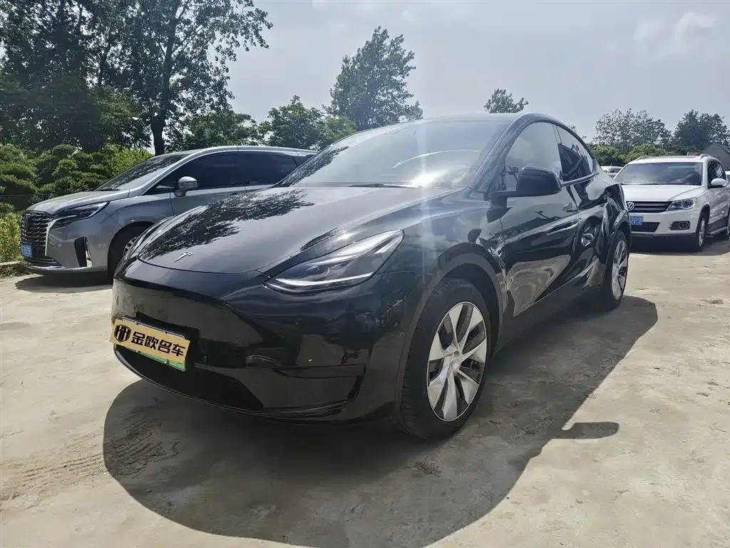 Tesla Model Y — фото 1