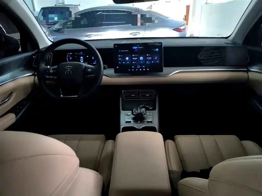 BYD Pro New Energy 2024 из CN, фото 2