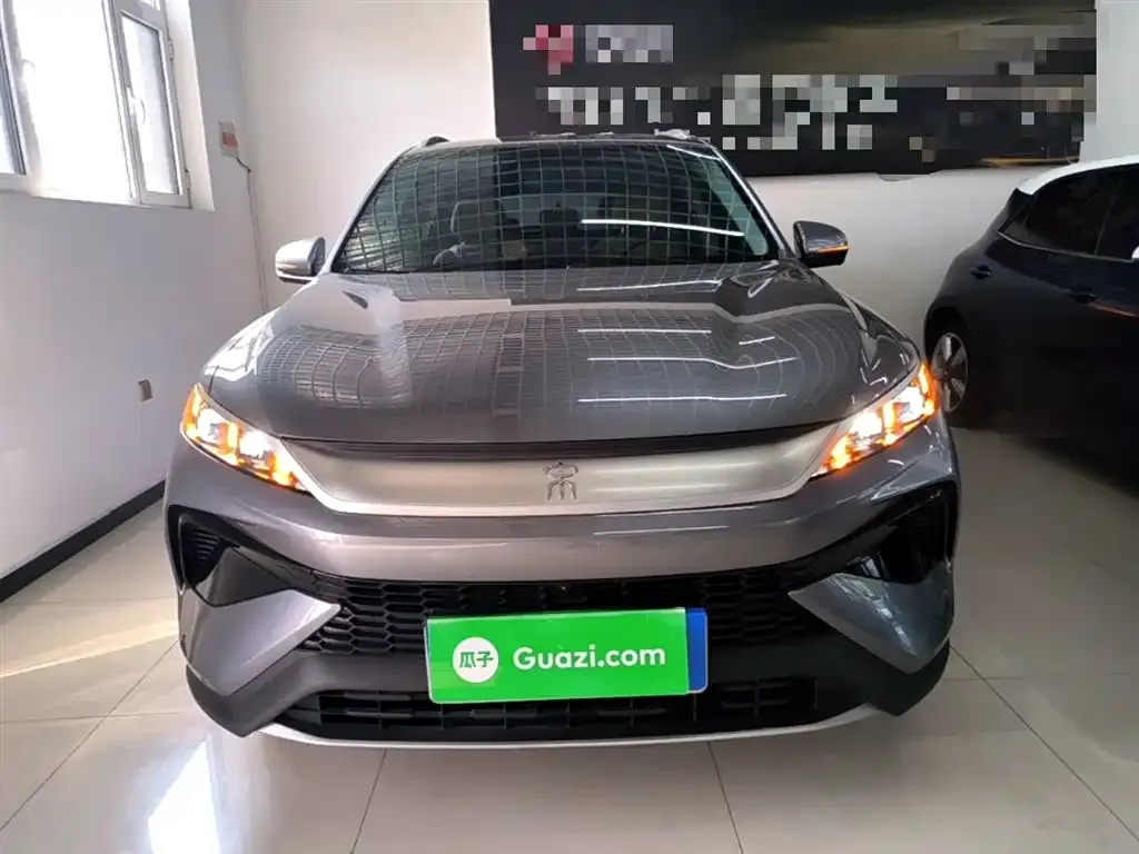 BYD Pro New Energy 2024 из CN, фото 6