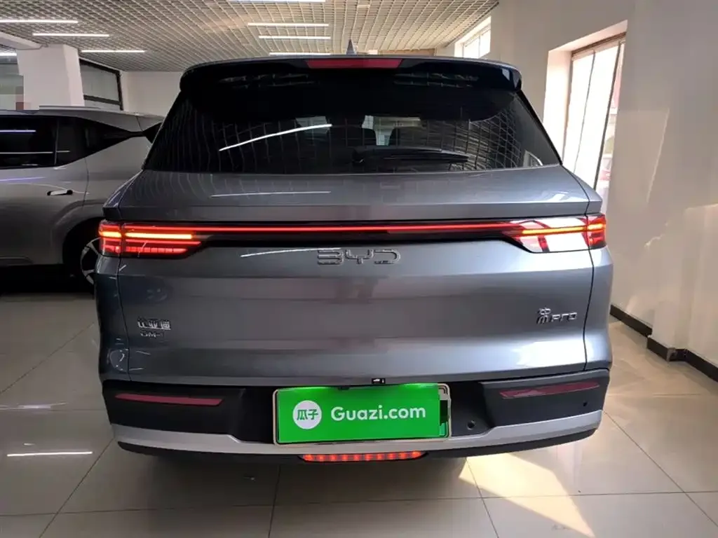 BYD Pro New Energy 2024 из CN, фото 3