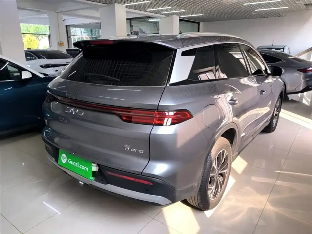 BYD Pro New Energy 2024 из CN, фото 10