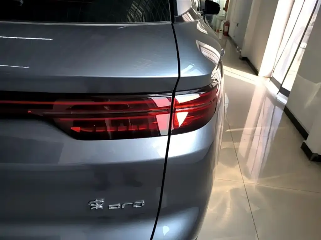 BYD Pro New Energy 2024 из CN, фото 5