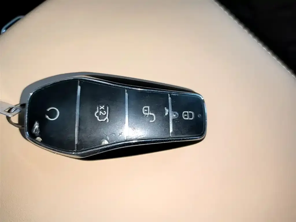 BYD Pro New Energy 2024 из CN, фото 4