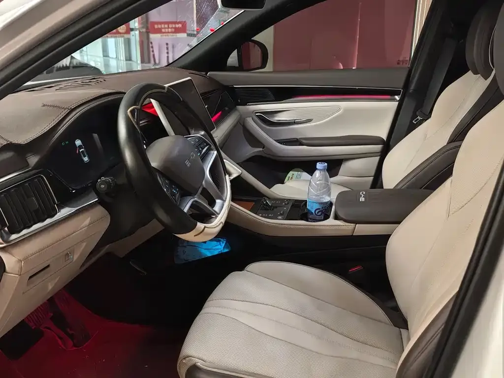 BYD PLUS New Energy — фото 10