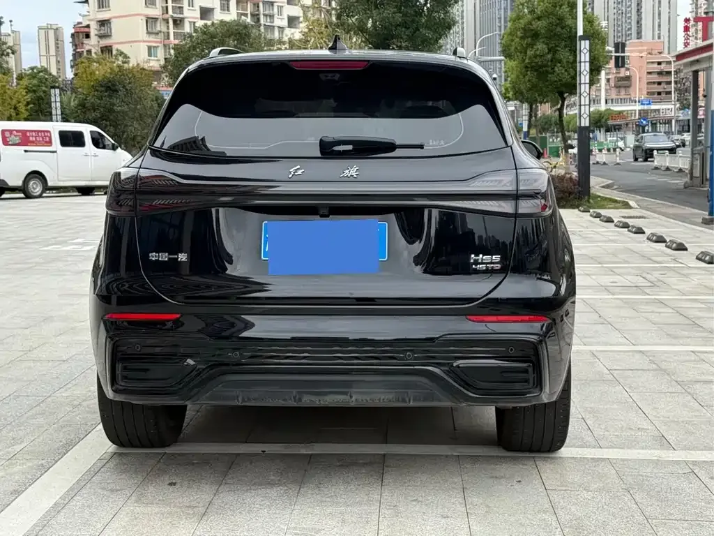 Hongqi HS5 2025 из CN, фото 5