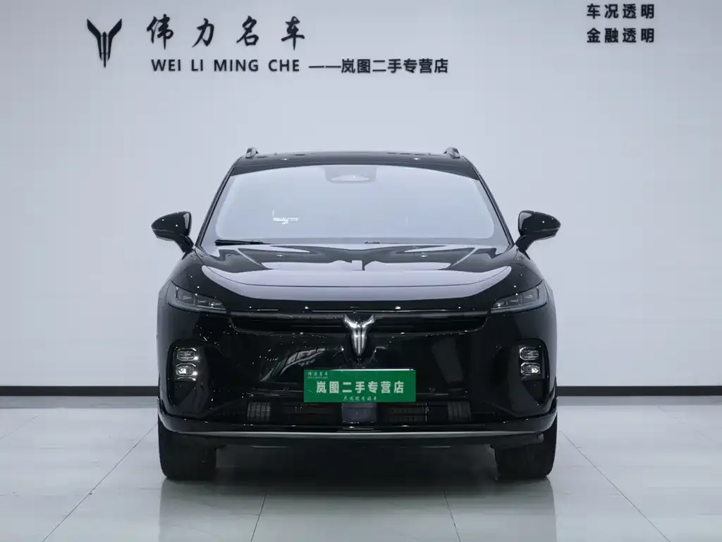 VOYAH Zhiyin 2025 из CN, фото 7