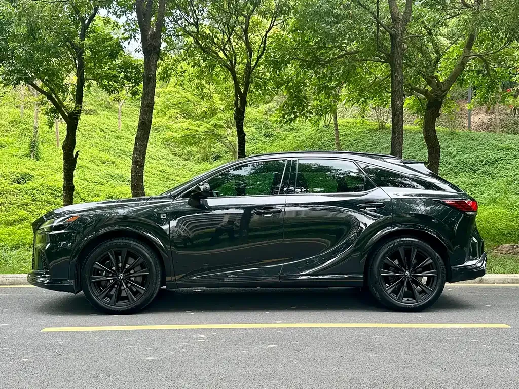 Lexus RX — фото 8