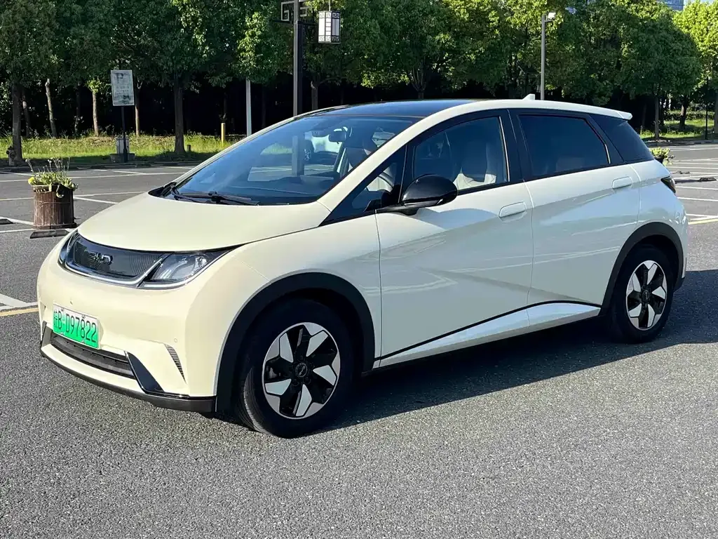 BYD Dolphin