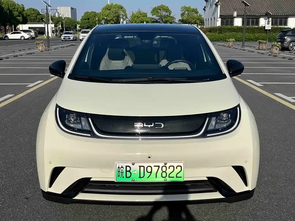 BYD Dolphin 2024 из CN, фото 8
