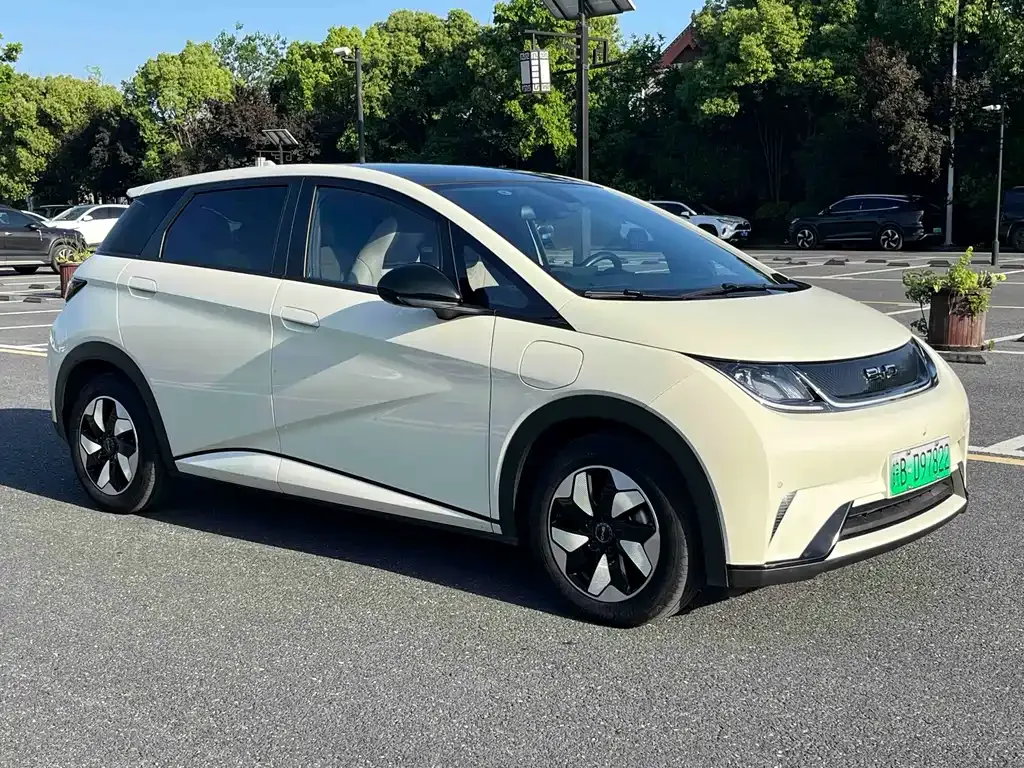 BYD Dolphin 2024 из CN, фото 9