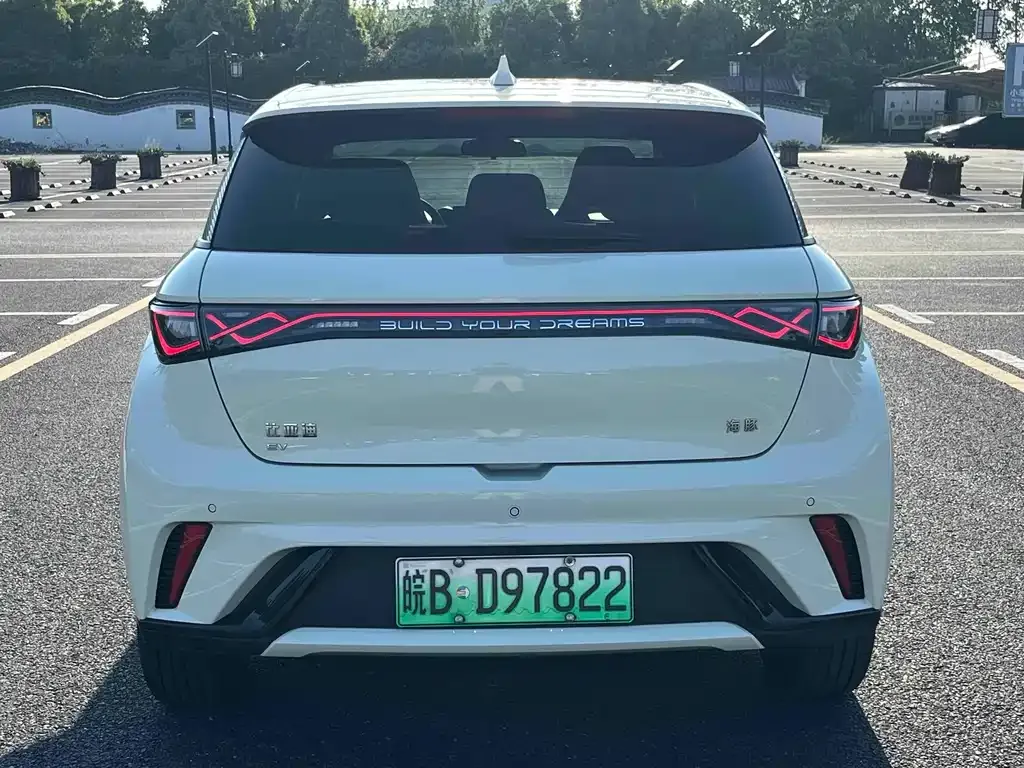 BYD Dolphin 2024 из CN, фото 6