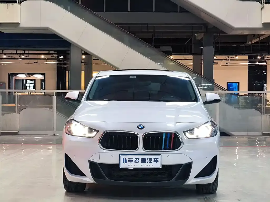 BMW X2 2023 из CN, фото 10