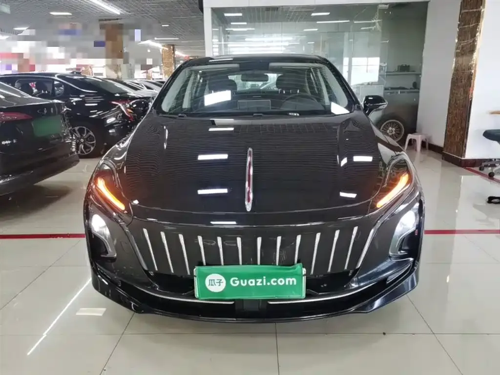 Hongqi E-QM5 2023 из CN, фото 9
