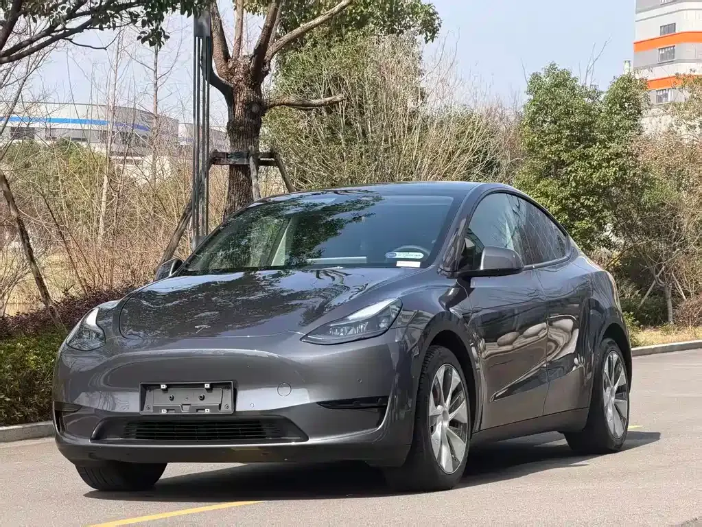 Tesla Model Y — фото 1
