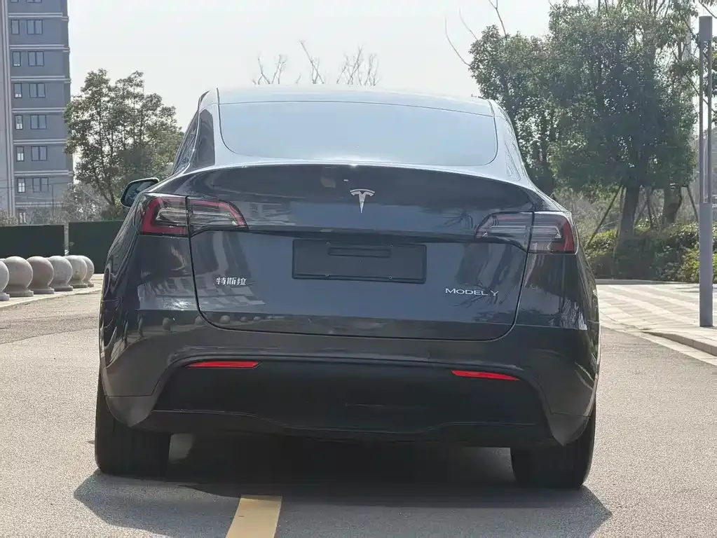 Tesla Model Y — фото 3