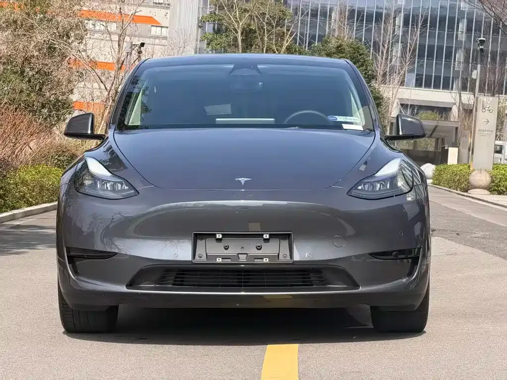 Tesla Model Y — фото 10